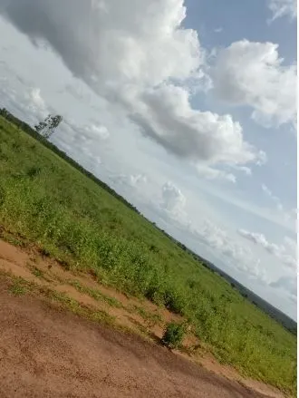 Fazenda à venda de 1.210 ha em Araguaína, TO, Brasil