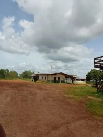 Fazenda à venda de 1.210 ha em Araguaína, TO, Brasil