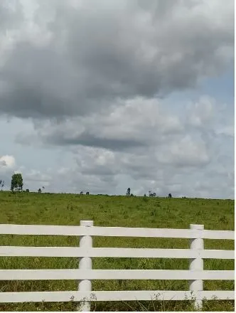 Fazenda à venda de 1.210 ha em Araguaína, TO, Brasil