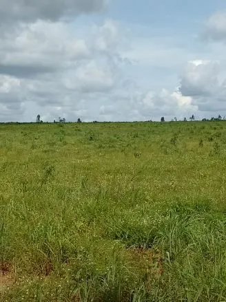 Fazenda à venda de 1.210 ha em Araguaína, TO, Brasil