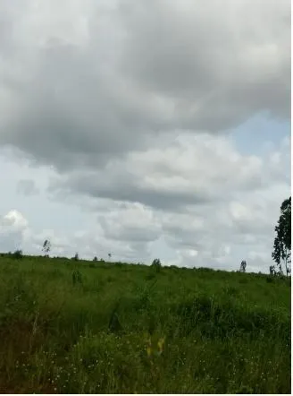 Fazenda à venda de 1.210 ha em Araguaína, TO, Brasil