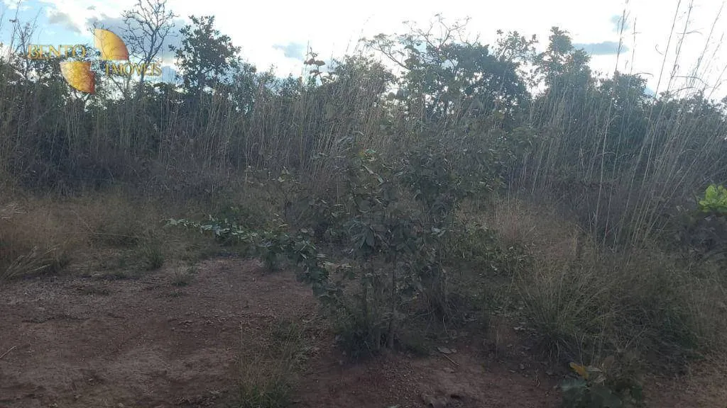 Fazenda à venda de 2.993 ha em Rosário Oeste, MT, Brasil