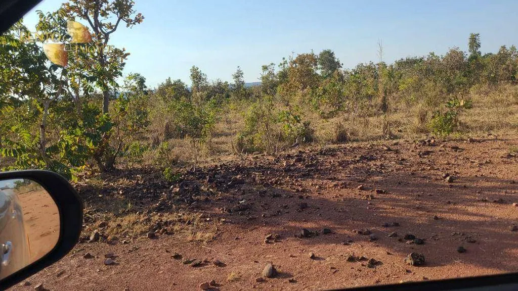 Fazenda à venda de 2.993 ha em Rosário Oeste, MT, Brasil
