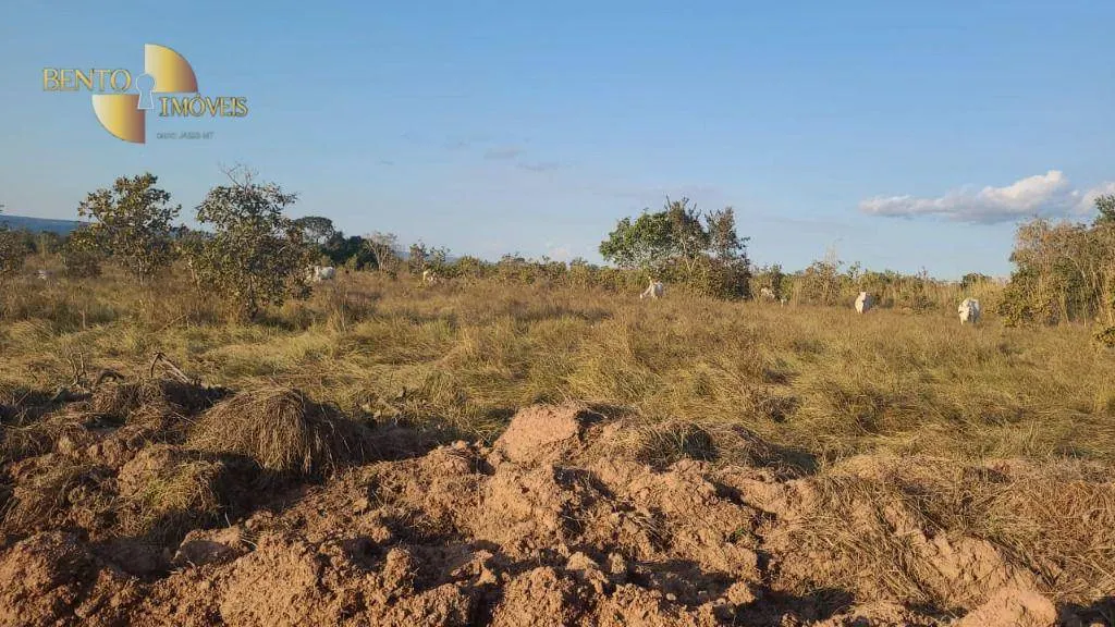 Fazenda à venda de 2.993 ha em Rosário Oeste, MT, Brasil