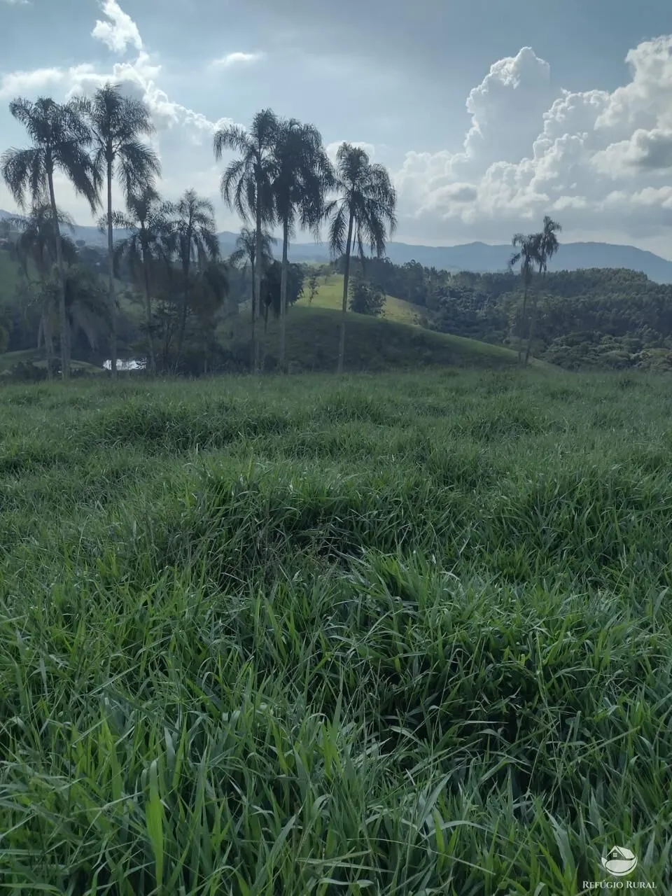 Sítio à venda de 79 ha em Igaratá, SP, Brasil
