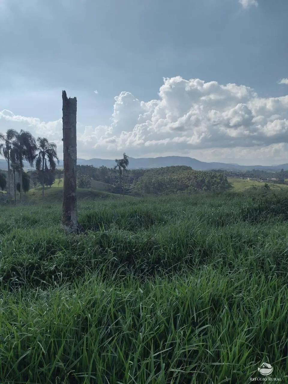 Sítio à venda de 79 ha em Igaratá, SP, Brasil