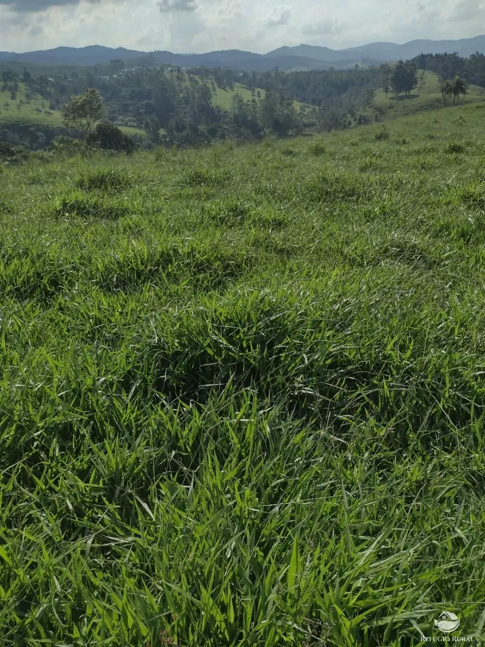 Sítio à venda de 79 ha em Igaratá, SP, Brasil