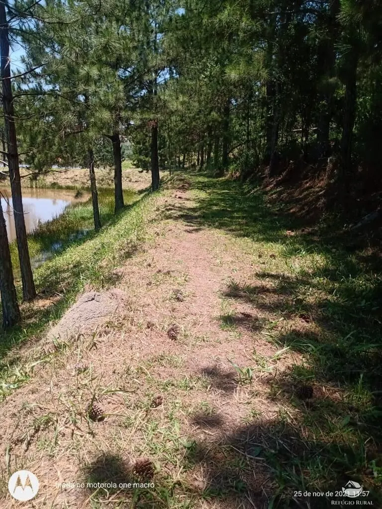 Sítio à venda de 79 ha em Igaratá, SP, Brasil