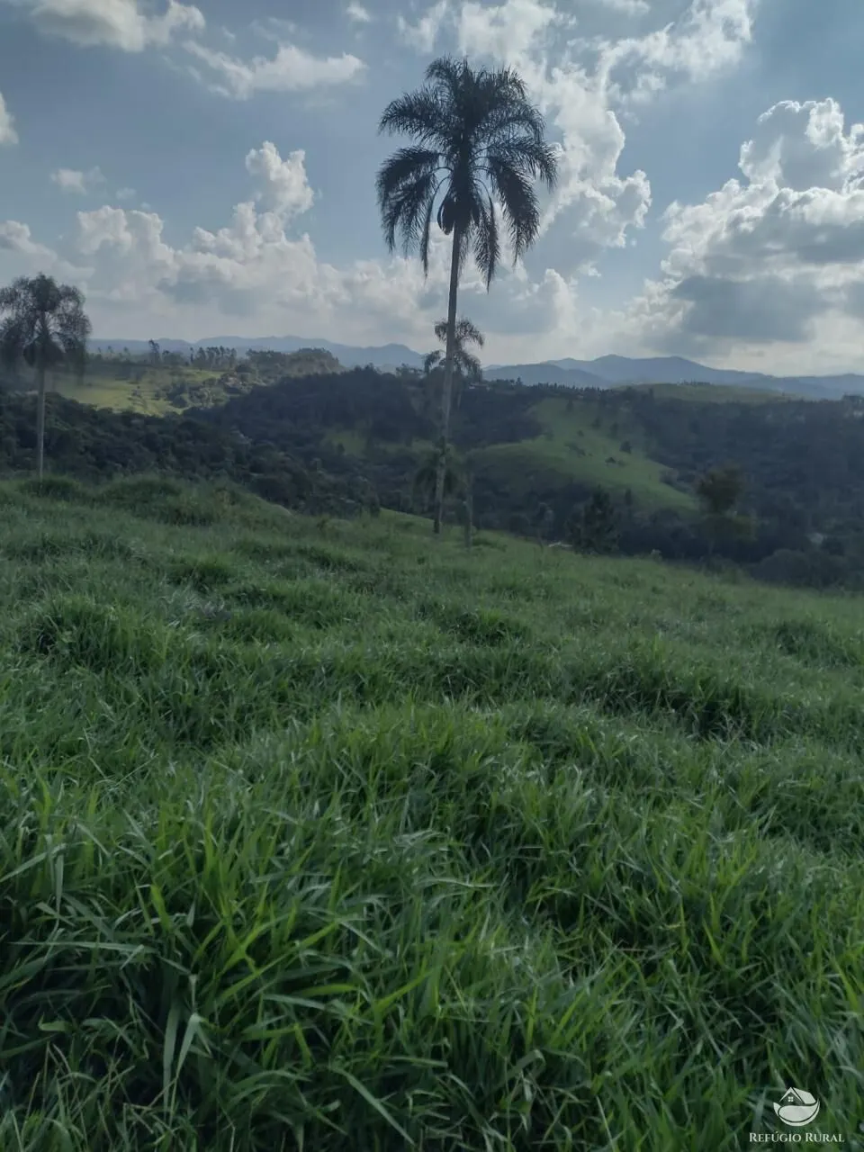 Sítio à venda de 79 ha em Igaratá, SP, Brasil