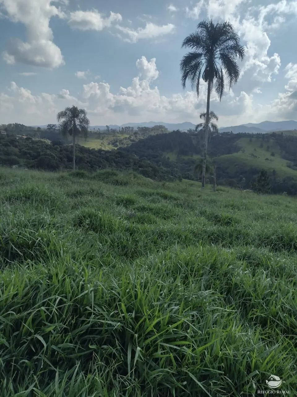 Sítio à venda de 79 ha em Igaratá, SP, Brasil