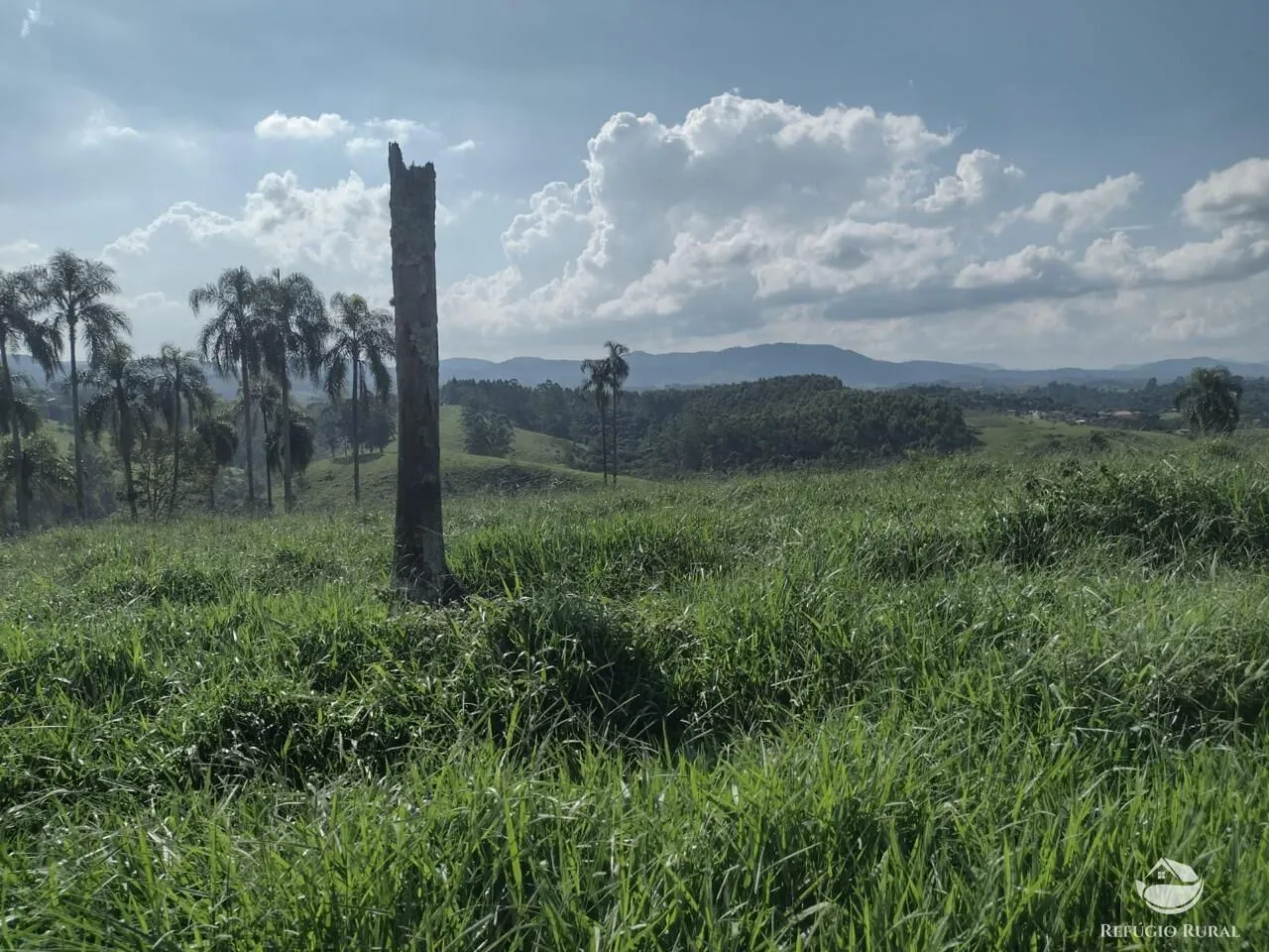Sítio à venda de 79 ha em Igaratá, SP, Brasil