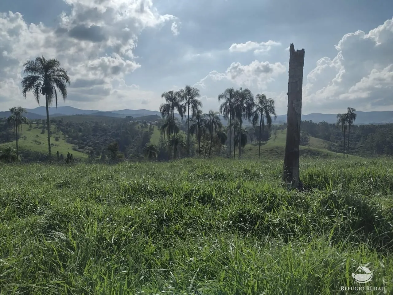 Sítio à venda de 79 ha em Igaratá, SP, Brasil