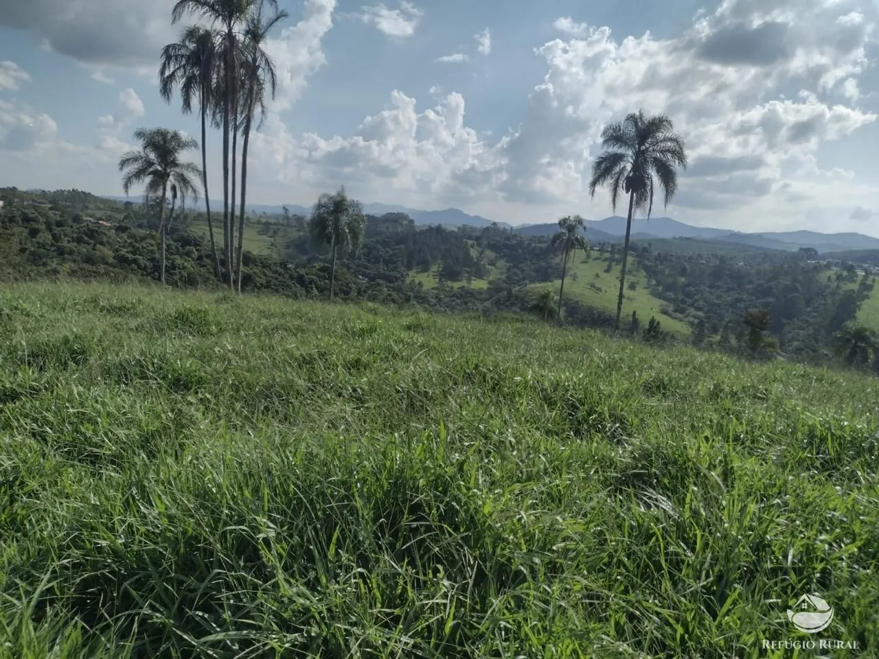 Sítio à venda de 79 ha em Igaratá, SP, Brasil