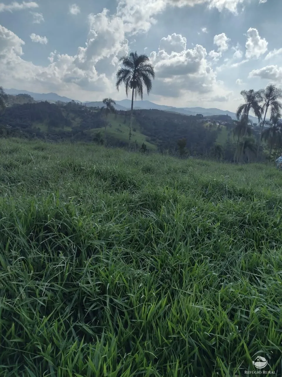 Sítio à venda de 79 ha em Igaratá, SP, Brasil