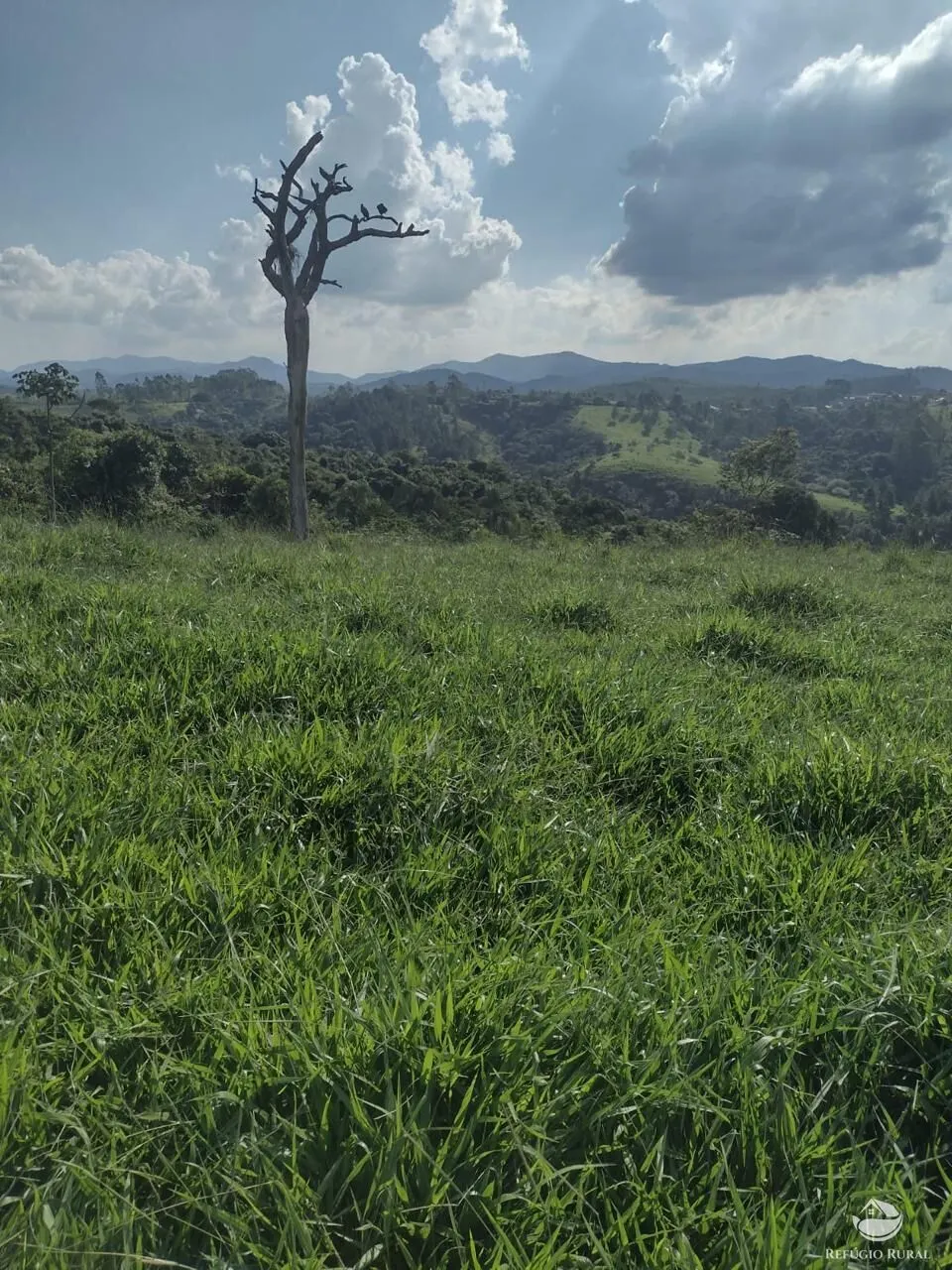 Sítio à venda de 79 ha em Igaratá, SP, Brasil