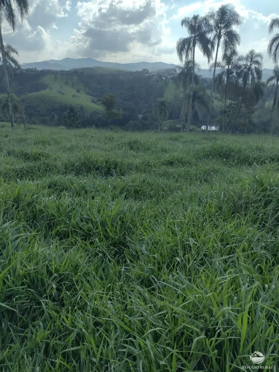 Sítio à venda de 79 ha em Igaratá, SP, Brasil