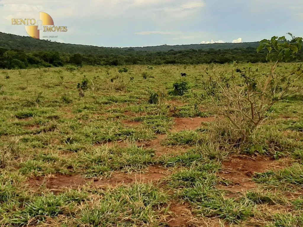 Farm for sale of 2,555 acres in Paranatinga, MT, Brazil