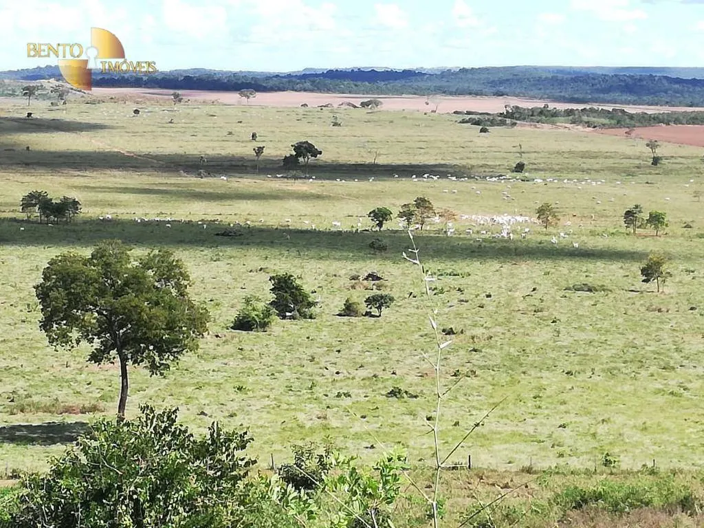 Farm for sale of 2,555 acres in Paranatinga, MT, Brazil