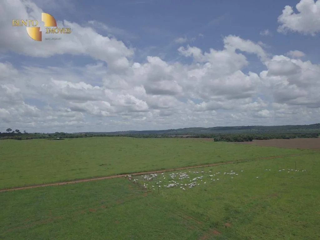 Farm for sale of 2,555 acres in Paranatinga, MT, Brazil