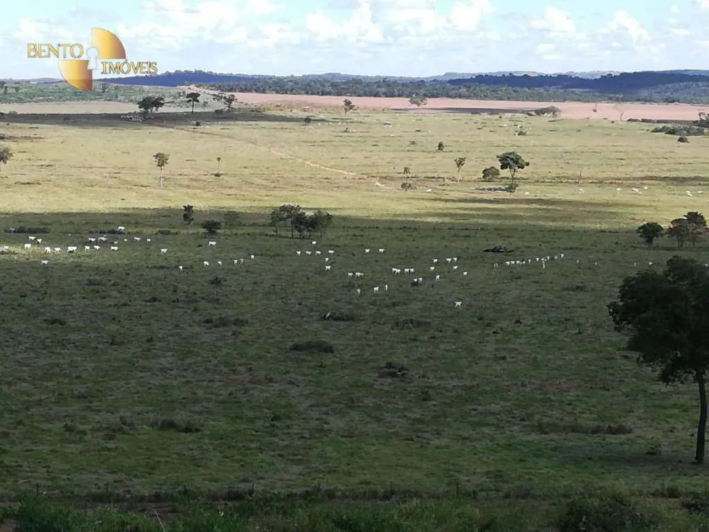Farm for sale of 2,555 acres in Paranatinga, MT, Brazil