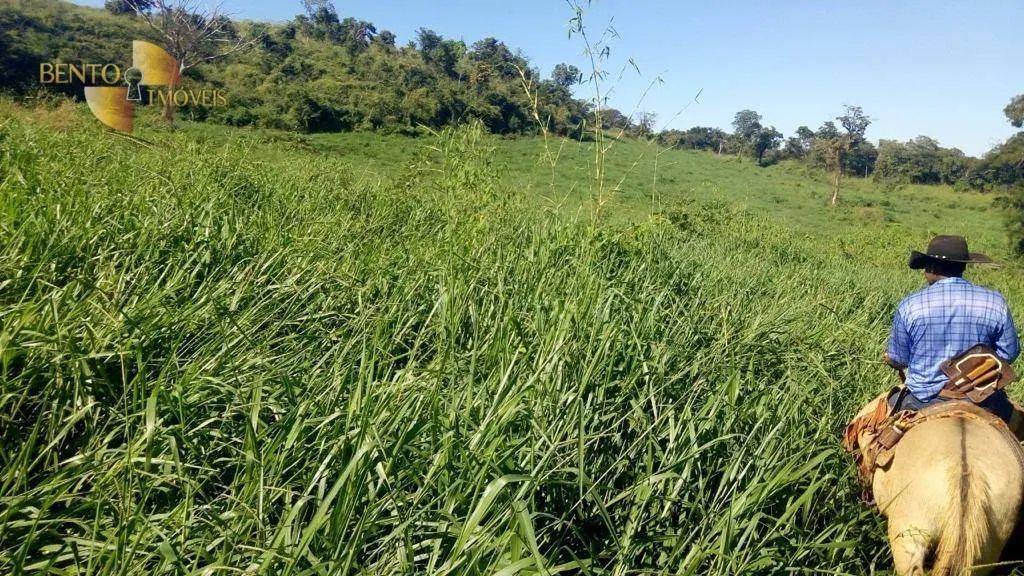 Farm for sale of 2,555 acres in Paranatinga, MT, Brazil