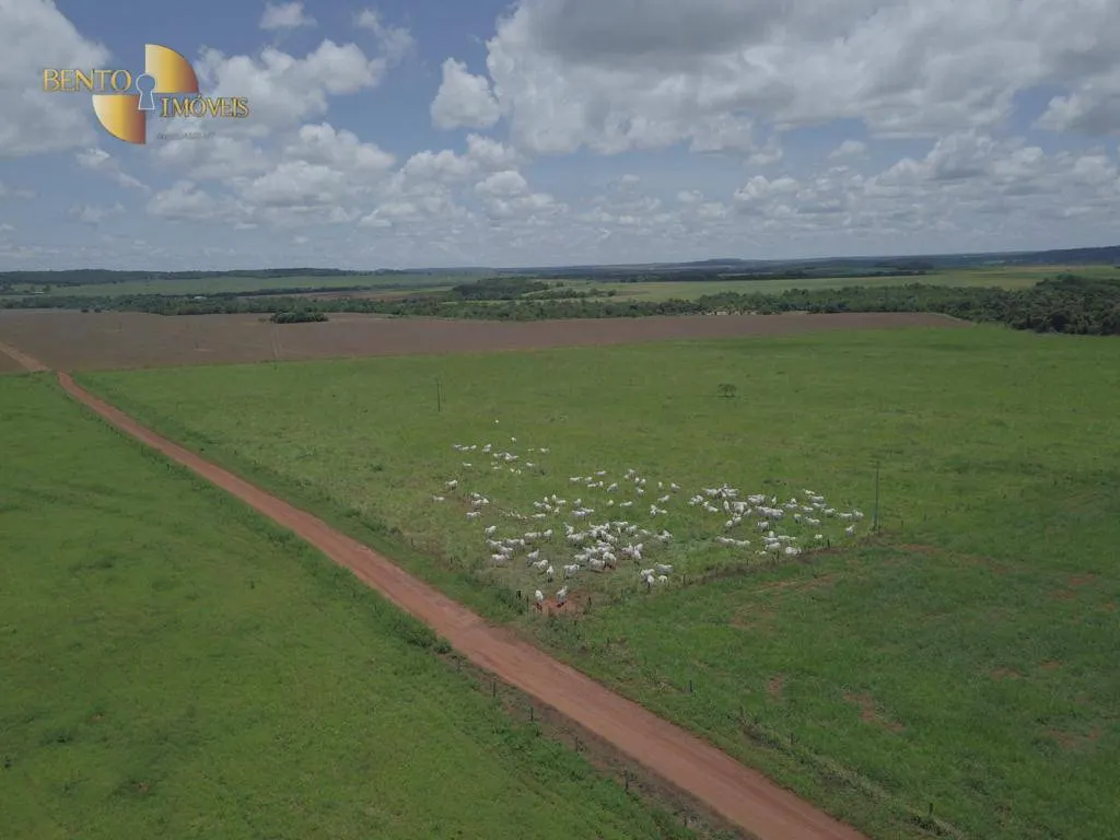Farm for sale of 2,555 acres in Paranatinga, MT, Brazil