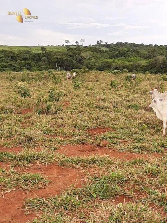 Farm for sale of 2,555 acres in Paranatinga, MT, Brazil