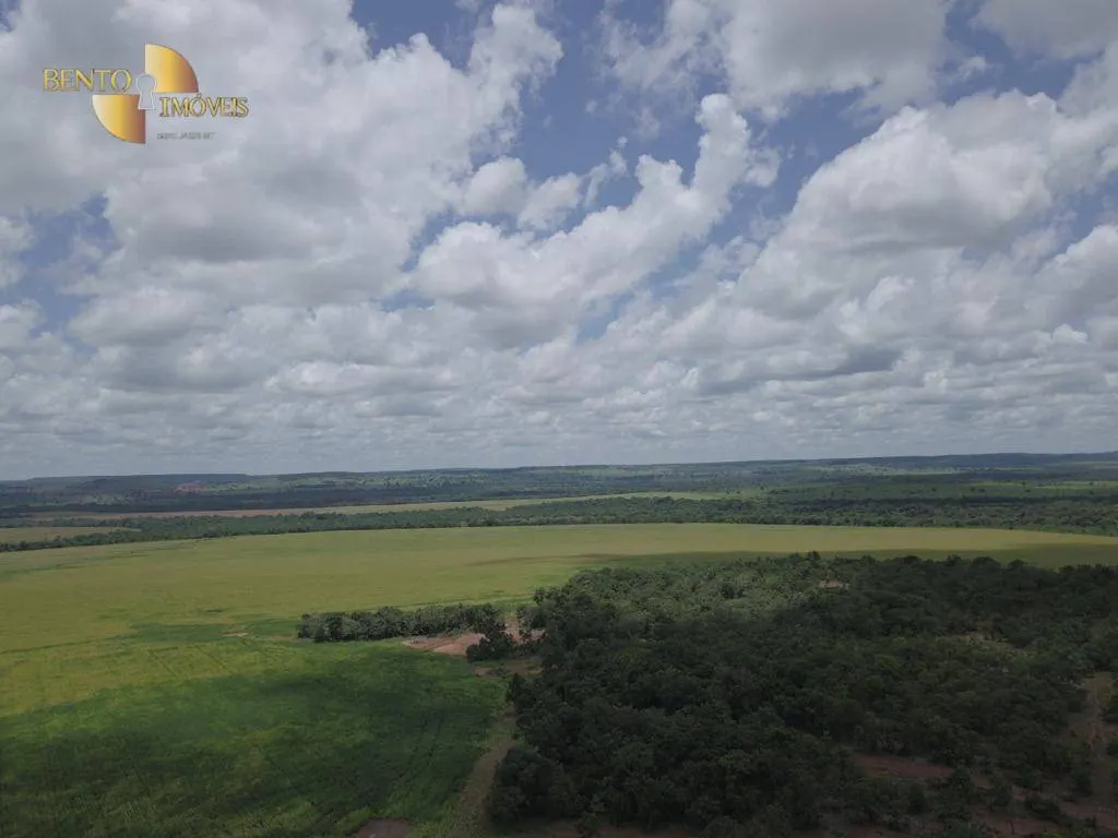 Farm for sale of 2,555 acres in Paranatinga, MT, Brazil