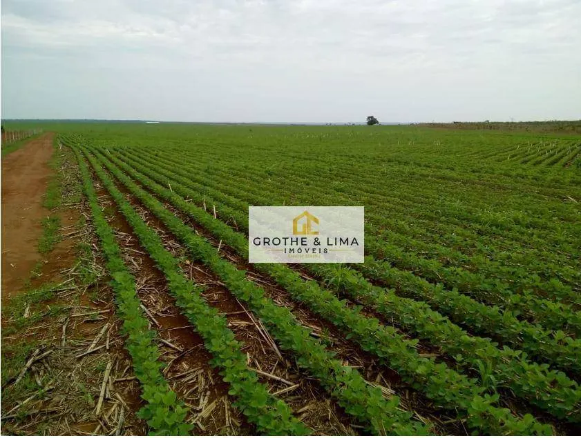 Fazenda à venda de 4.660 ha em Divinópolis do Tocantins, TO, Brasil