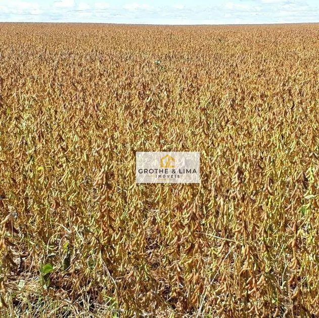 Fazenda à venda de 4.660 ha em Divinópolis do Tocantins, TO, Brasil