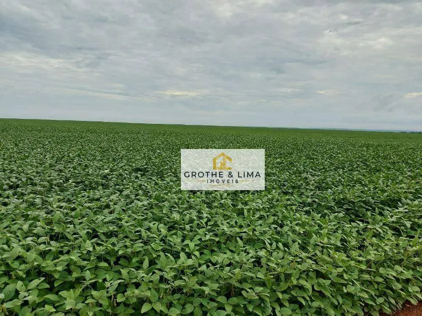 Fazenda à venda de 4.660 ha em Divinópolis do Tocantins, TO, Brasil