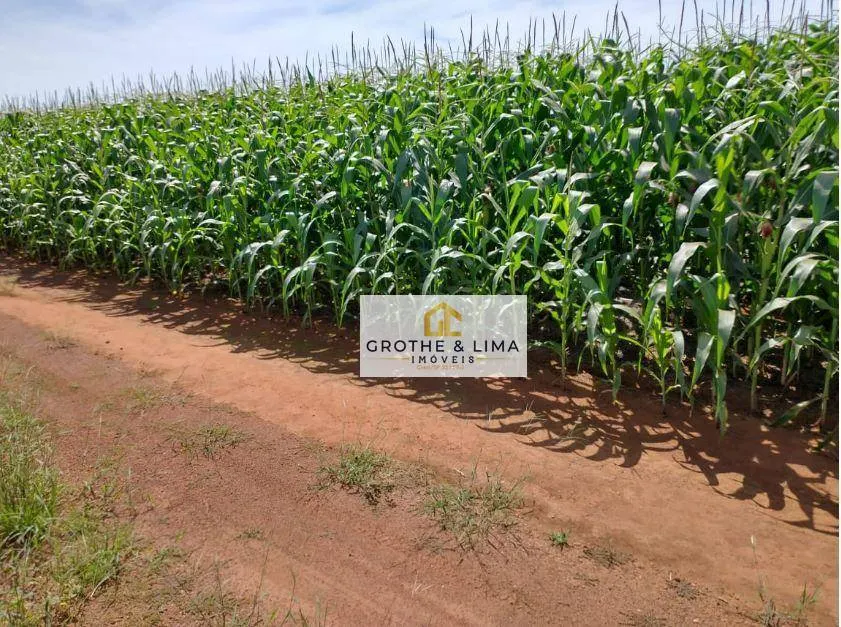 Fazenda à venda de 4.660 ha em Divinópolis do Tocantins, TO, Brasil