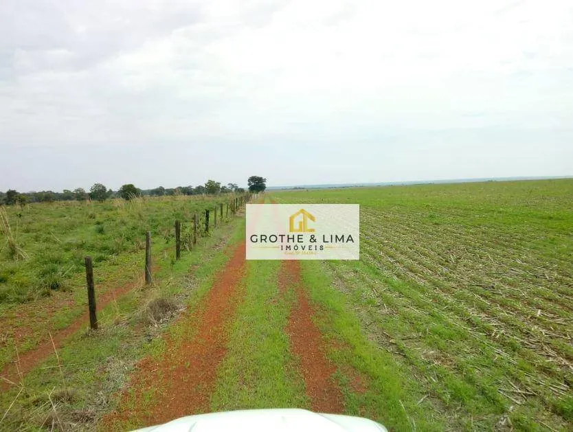 Fazenda à venda de 4.660 ha em Divinópolis do Tocantins, TO, Brasil
