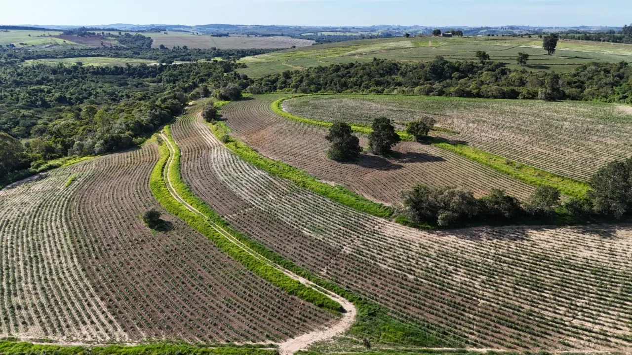 Fazenda à venda de 30 ha em Capela do Alto, SP, Brasil