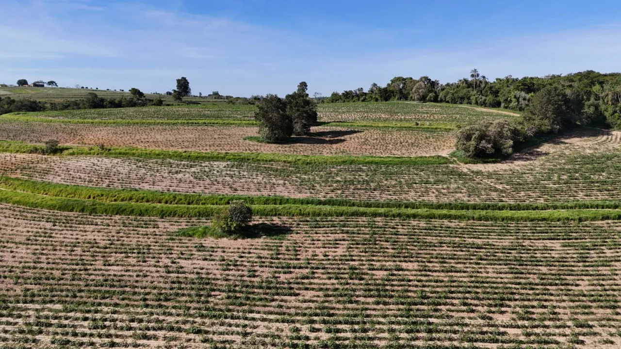 Fazenda à venda de 30 ha em Capela do Alto, SP, Brasil