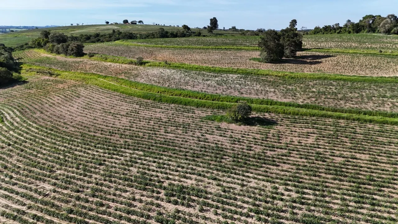 Fazenda à venda de 30 ha em Capela do Alto, SP, Brasil