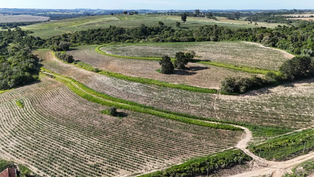 Fazenda à venda de 30 ha em Capela do Alto, SP, Brasil