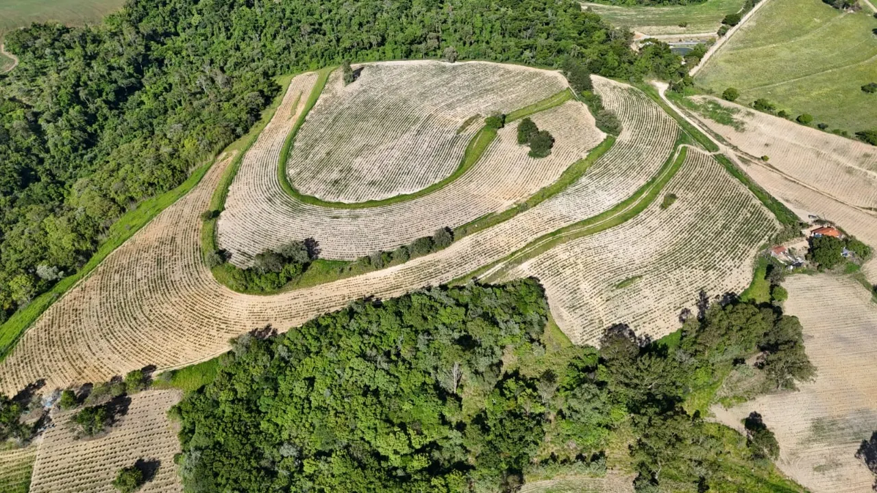 Fazenda à venda de 30 ha em Capela do Alto, SP, Brasil
