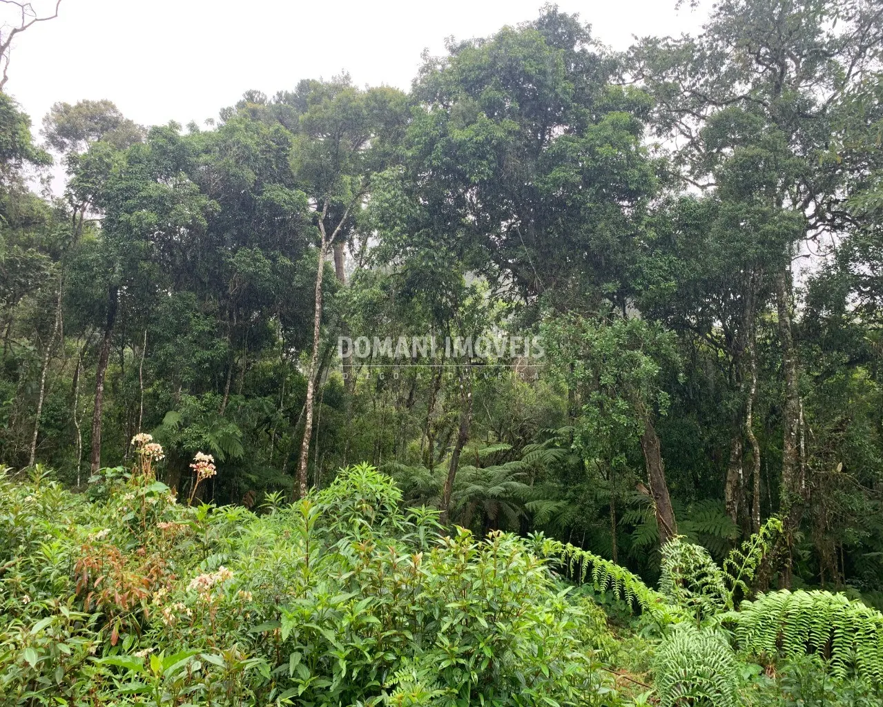 Plot for sale of 1,050 m² in Campos do Jordão, SP, Brazil