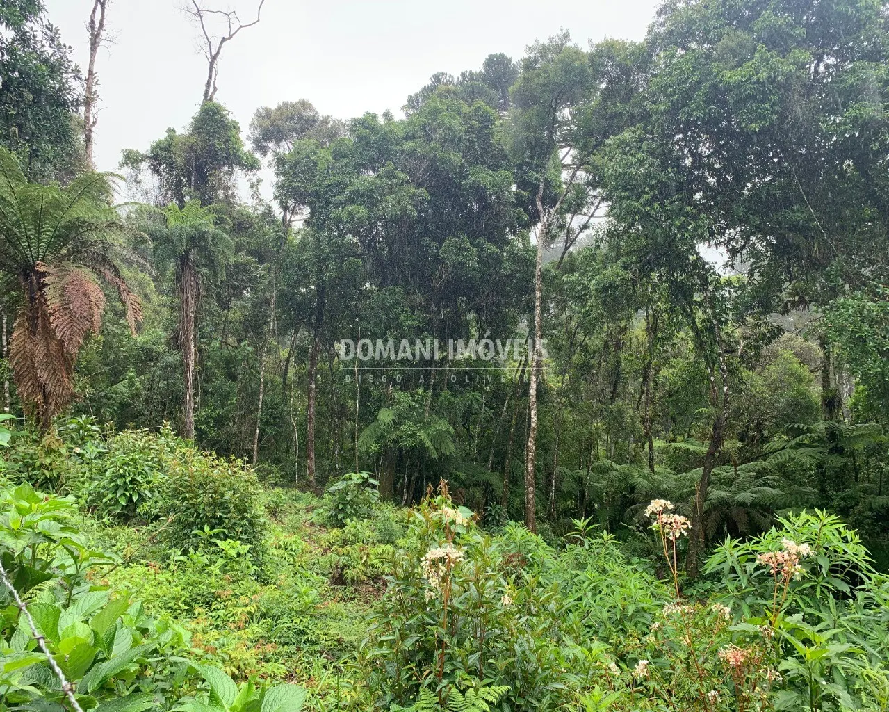 Plot for sale of 1,050 m² in Campos do Jordão, SP, Brazil