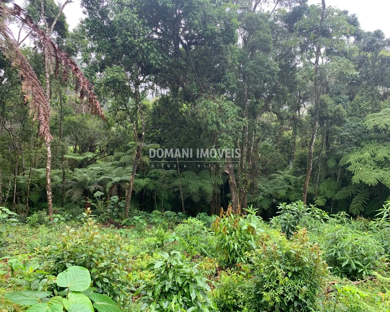 Plot for sale of 1,050 m² in Campos do Jordão, SP, Brazil
