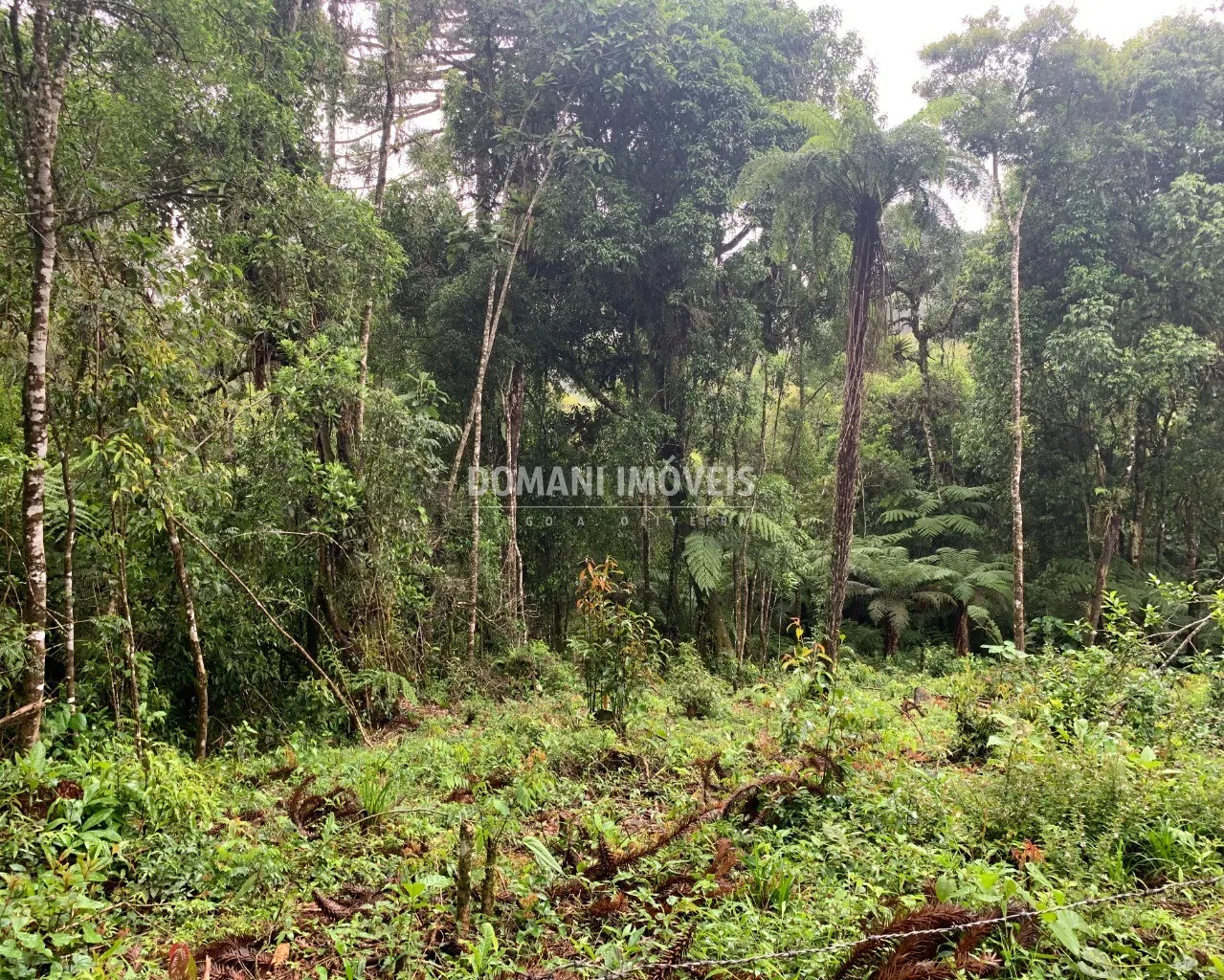 Plot for sale of 1,050 m² in Campos do Jordão, SP, Brazil