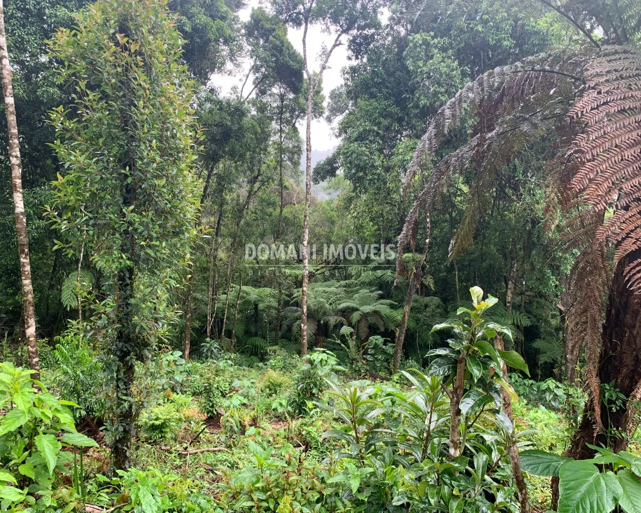 Plot for sale of 1,050 m² in Campos do Jordão, SP, Brazil