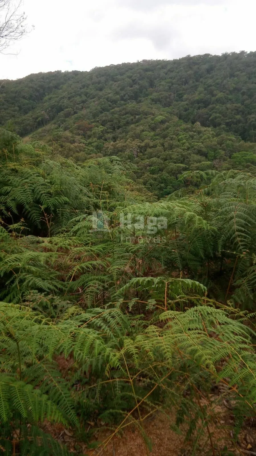 Fazenda à venda de 9 ha em Guabiruba, SC, Brasil