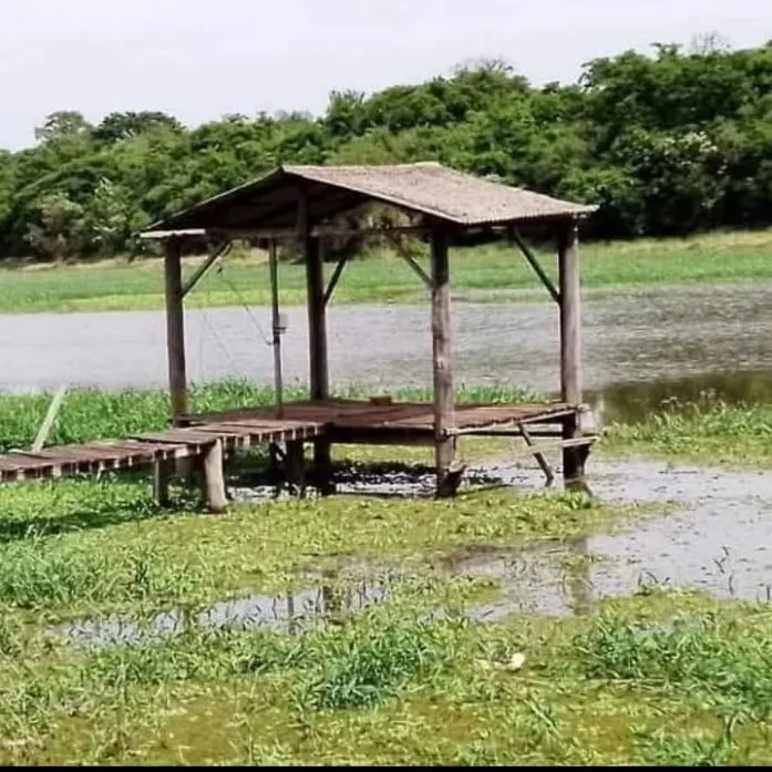 Chácara à venda de 2.000 m² em Fartura, SP, Brasil