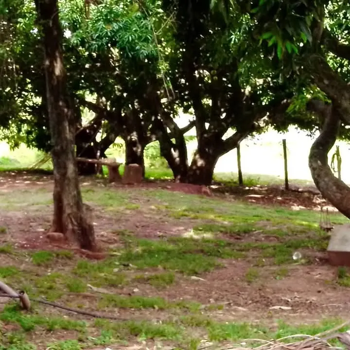 Chácara à venda de 2.000 m² em Fartura, SP, Brasil