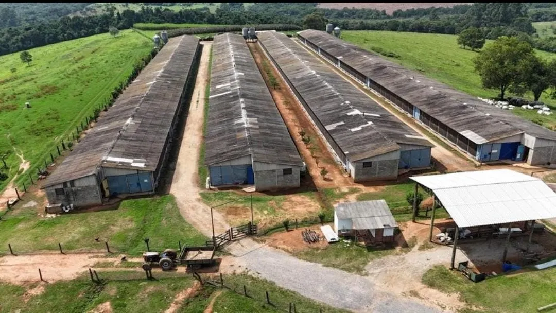 Sítio à venda de 58 ha em Itapetininga, SP, Brasil