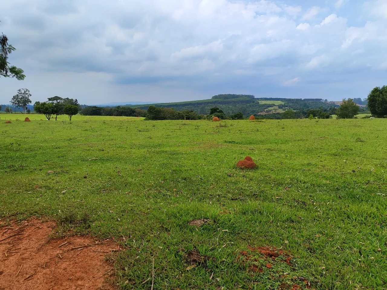 Sítio à venda de 58 ha em Itapetininga, SP, Brasil