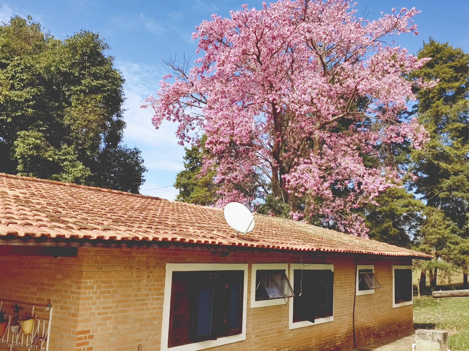Sítio à venda de 58 ha em Itapetininga, SP, Brasil