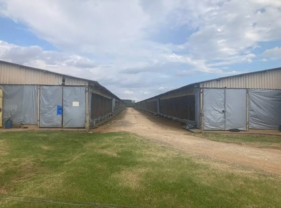 Sítio à venda de 58 ha em Itapetininga, SP, Brasil